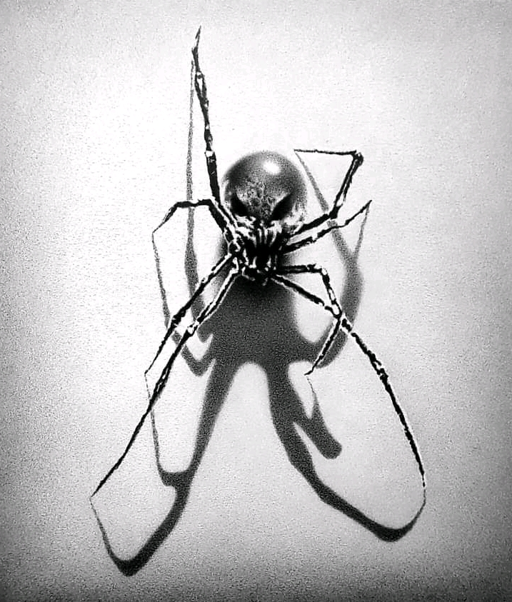 Eliot Allsop Arachne